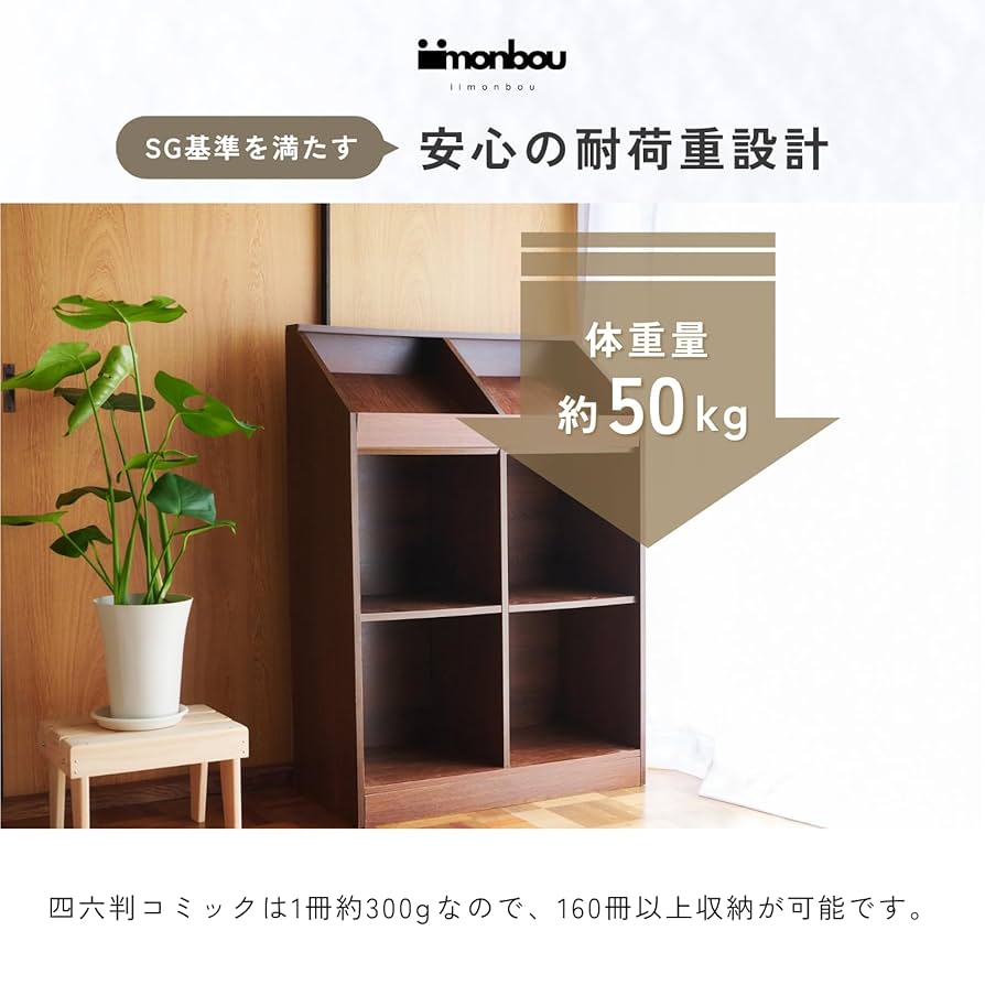 頑丈本棚(その２) fr032gs_m_01.jpg